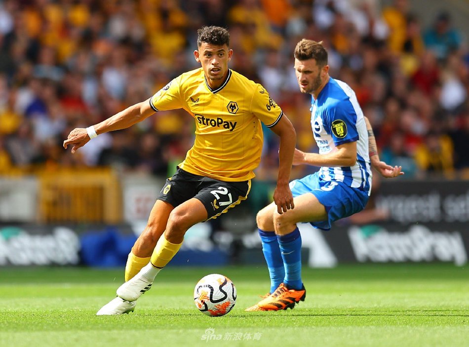 同于其他比 同于其他比