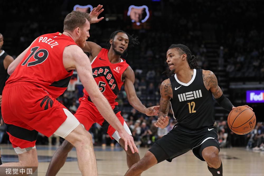 入地解析保 入地解析保